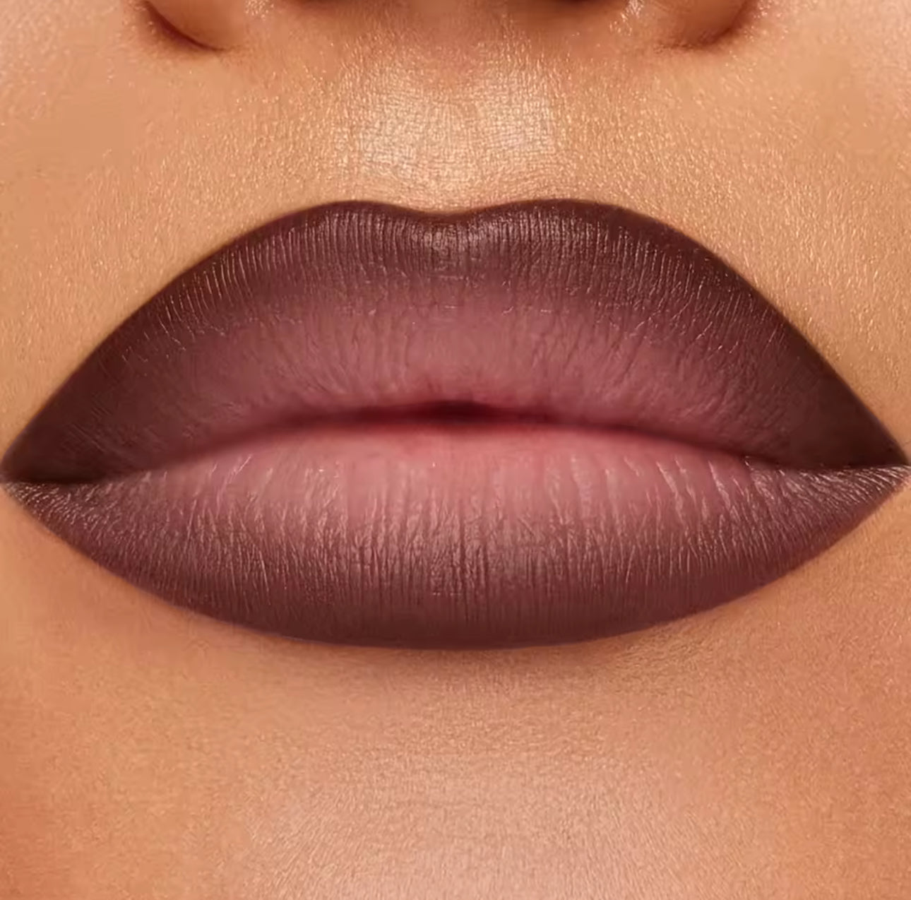 Brillant à lèvres 3 pièces-crayon à lèvres et boue